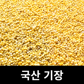 아람뜰 신선 개별포장 국산 고품질 기장쌀 100g, 1개