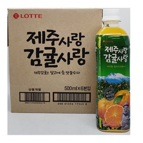 롯데칠성음료 제주감귤 500ml, 12개