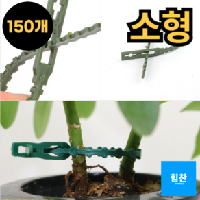 힘찬쇼핑_식물 줄기 가지 묶는끈 고정끈 고정 타이 클립 원예끈 약 150개입, 소, 사이즈, 150개