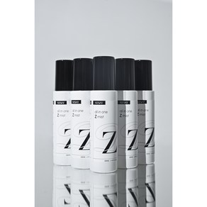 NESAY 네세이 남성 편리한 올인원(스킨+로션+에센스) Z 미스트, 1개, 100ml