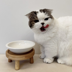 안심 원목 테이블 고양이 강아지 프리미엄 원목 식탁 [식기 높이 가능] 집알이, 1개, S 원목 식기