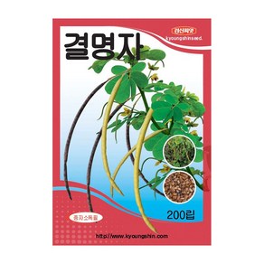 경신종묘 결명자씨앗 결명자 200립, 1개