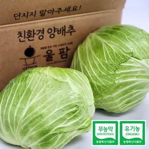 [울팜] 아삭 달달 국내산 친환경 양배추 무농약 유기농 제주 무안 밀양, 1박스, 3kg