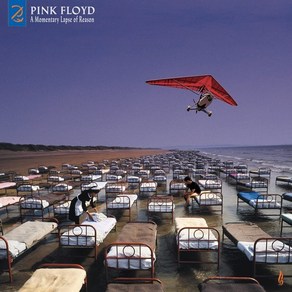[CD] Pink Floyd (핑크 플로이드) - A Momentay Lapse Of Reason Remixed & Updated