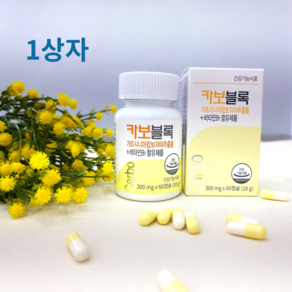 병원 추천 가르시니아 다이어트 보조제 탄수화물 컷 카보블록 300mgX60캡슐, 1개, 60정