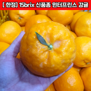 [12-1월 한정 판매] 제주 직송 고당도 윈터프린스 감귤 가정용, 1박스, 2kg