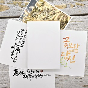경일문화가게 캘리그라피 종이 무지 엽서 100매 135*195
