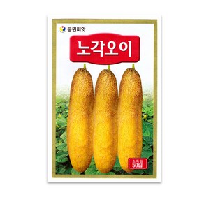 모칸도 동원 노각오이 50립