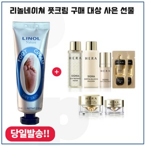 리놀네이쳐 풋크림 (80ml) 구매시 시그니아 세트 6종 _컨센트레이트 내장 (신형), 1개