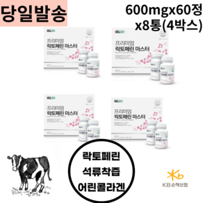 사과초모혼합 석류착즙분말 프리미엄 락토페린 8통x600mgx60정 자연방목 영양소보존 급속냉동 저온건조 고순도 97.8% 단백질 96%락토페린 30대 40대 50대 직장인 남녀