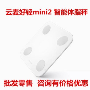 Xiaomi Youpin Yunmai Haoqing mini2 스마트 체지방 측정기 측정 지방 및 체중 측정 정확한 가정용 전자 휴대용