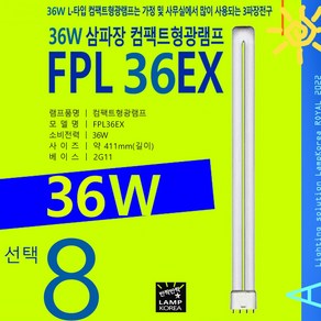 PHILIPS FPL 36W 컴팩트전구 삼파장램프, 02-2) FPL 36W-포커스-전구색, 1개, 전구색