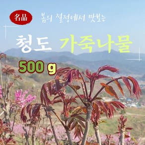 [생산자 직배송] 가죽나물 500g 1kg 2kg 가죽나무순, 1개