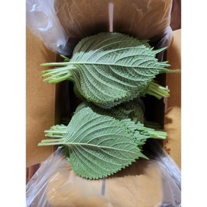 경산와촌 깻잎 찹찹이 깻잎장아찌용 당일수확 직송 500g 1kg 2kg(평일2시주문시까지 당일발송), 1개