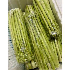 국내산 아스파라거스 제주산 산지직송, 1박스, 1kg