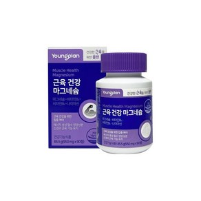 영진약품 영플랜 근육 건강 마그네슘 950mg x 90정 마그네슘영양제, 1개