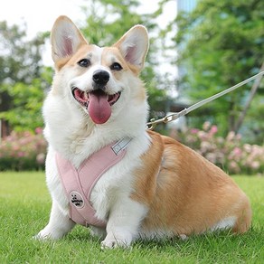 퍼플펫 강아지 X형 하네스 가슴줄 소형견 앞섬방지, 핑크, 1개