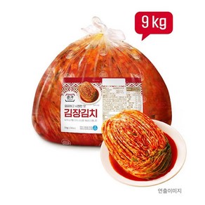 종가집 전라도 김장김치 9kg, 1개