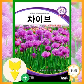 [농대나온남자] 차이브 씨앗 400립 + 나비끈끈이트랩, 1개