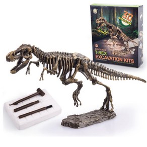 공룡화석 발굴키트/공룡화석 발굴 과학키트(대형) DINOSAUR EXCAVATION KIT