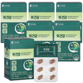 한미양행 [한미양행]위건강 6박스(6개월분), 6박스, 30정