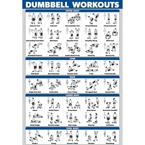 노 브랜드 덤벨 운동 포스터 라미네이트 프리 웨이트 바디 빌딩 가이드 홈 체육관 차트 양면 및 quot;& quot;, no fame