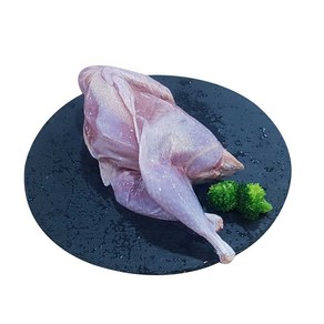 (배터짐) 영양만점 거위고기 토끼고기 오골계 토종닭 특대 노계닭 기러기고기 모음 (일요일&당일발송), 꿩고기1kg 이상  장끼, 1개