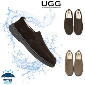 호주 AS UGG 남성 디노 양털 모카신 로퍼 단화 사무실