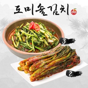 도미솔 맛있는 열무김치 3kg+갓김치 2kg(총 5kg), 1개, 단일옵션