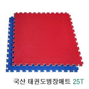 헬스스트림 태권도 유도 다용도 스포츠매트