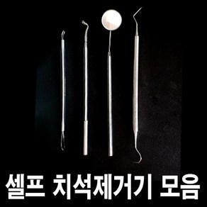 가정용 셀프 치석제거기 치경 탐침 스케일링 도구모음, 01. 치석제거기, 1개