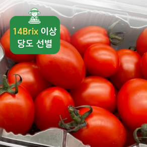 당도선별 14bix 고당도 스테비아 방울토마토 달콤한 토마토, 1개, 500g x 2개