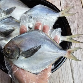 국내산 반건조 병어 자연산 손질병어, 1개, 700g(4~6미)