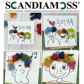 스칸디아모스 캔버스액자12cm x 12cm+이젤받침대 포함 DIY(6세트)창의학습 만들기, 1개