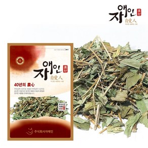 자애인 국산 삼백초 600g 청성초 경북영주, 1개