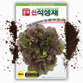 적 아삭이상추 씨앗( 300립)채소씨앗 쌈채소