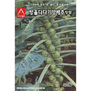 A-방울다다기양배추-킹쌈(가정원예용) 500립 채소 종자, 1개