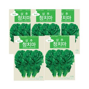 모두다 채소씨앗 청치마상추씨앗(3000립), 5개