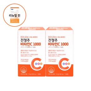 진정주 비타민C1000 진약사몰 영양제 200정 200일분 520628, 100정, 1개