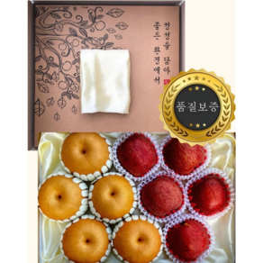 [백화점 납품]청송 심가네 고당도 배 사과 혼합세트, 중과, 1개