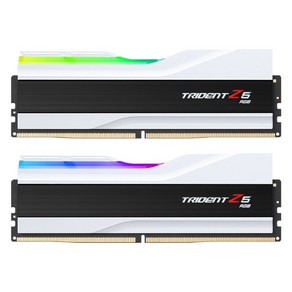 G.SKILL G.SKILL DDR5-6400 CL32 TRIDENT Z5 RGB 화이트 패키지 (64GB(32Gx2)), 선택없음, 2개