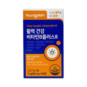 모모 영진약품 영플랜 활력건강 비타민B 플러스8 800mg, 90정, 3개