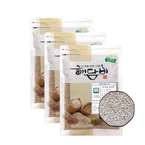 국내산 유기농늘보리 1kg 3개 (3kg) (2024년산)