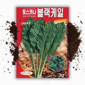 블랙 케일씨앗(3g), 1개