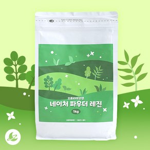 오로라 네이처 파우더 레진 아트 공예 재료 1kg R002