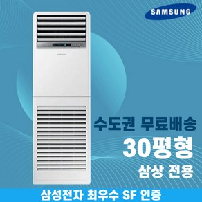 삼성 스탠드 냉난방기 업소용 냉온풍기 30평 프리미엄 인버터 AP110BAPPHH2S 수도권무료배송, 삼성 프리미엄 30평 삼상