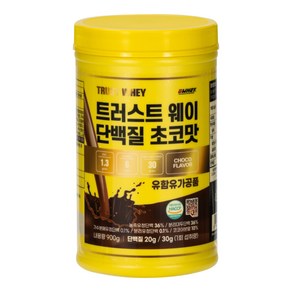 지웨이 트러스트 웨이 단백질 보충제 초코맛, 900g, 1개