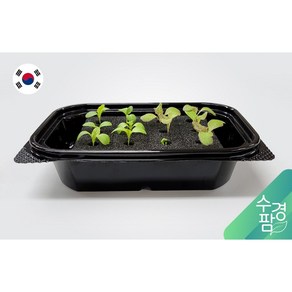 수경팜 발아케이스 키트 수경재배기 가정용 식물재배기 스마트팜 3단2단1단 단수조절 헌팅에스앤디