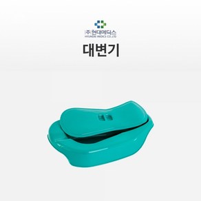 대변기(뚜껑포함) 현대 HD-BP-01 병원용/환자용/휴대용/남여 공용, 1개