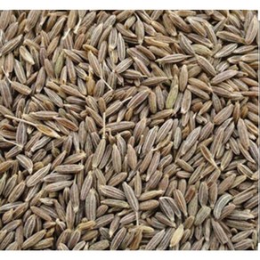 S. N. FOOD CUMIN(ZIRA)SEED WHOLE 1KG 양꼬치양념 큐민씨드 즈란